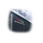 neo bet sports betting